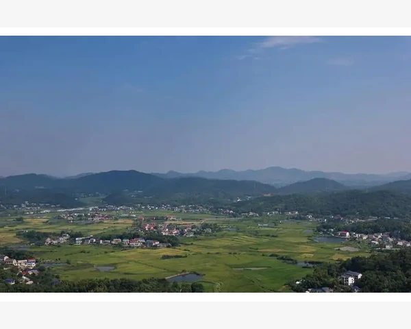 注册会计师网校选择实战对比与分析