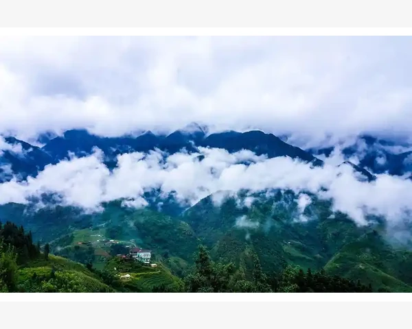 注册会计师缩写CPA的由来与行业地位
